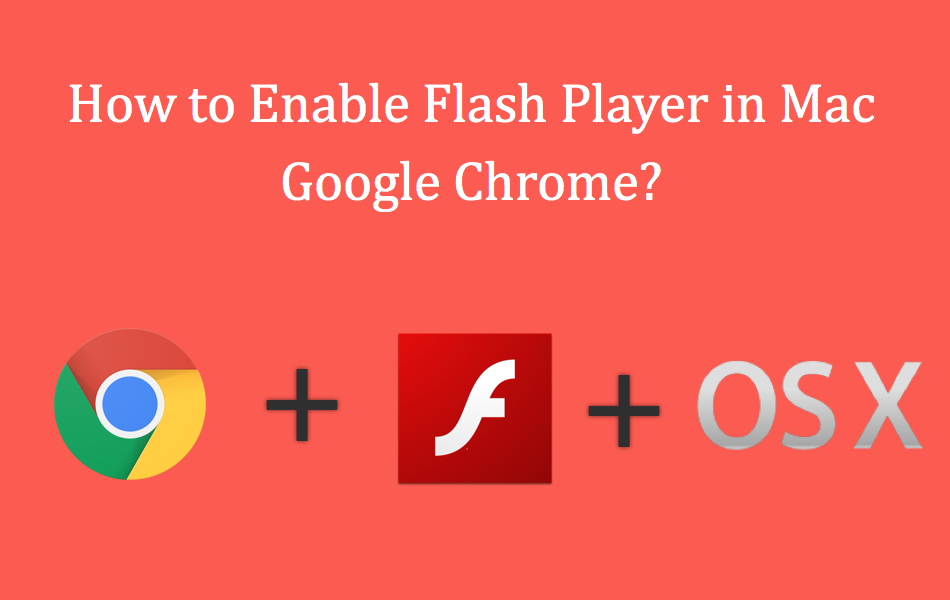 add flash player to chrome
